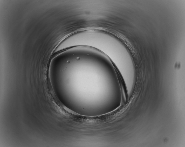 X0000098101177200804041237