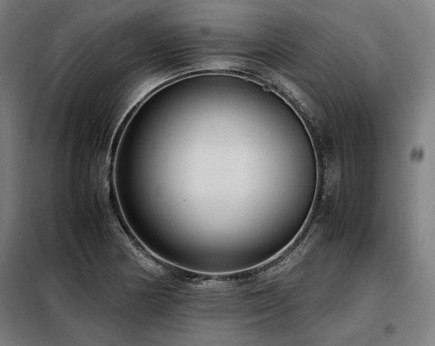 X0000098101178200804041237