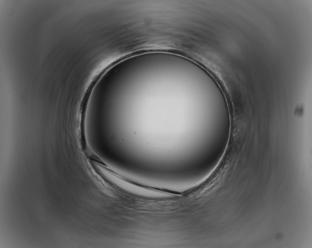X0000098101179200804041237
