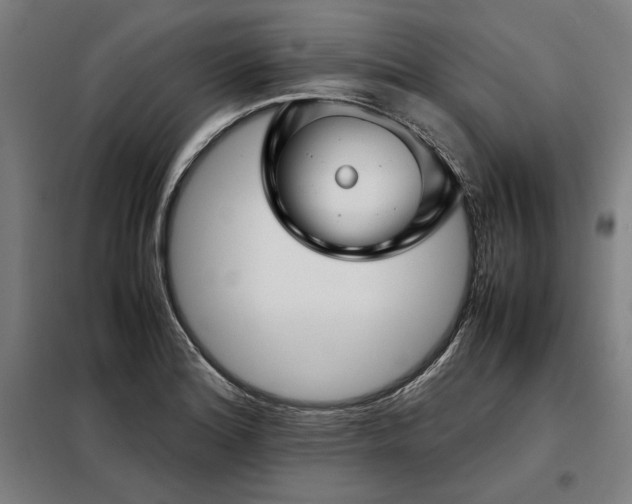 X0000098101180200804041237