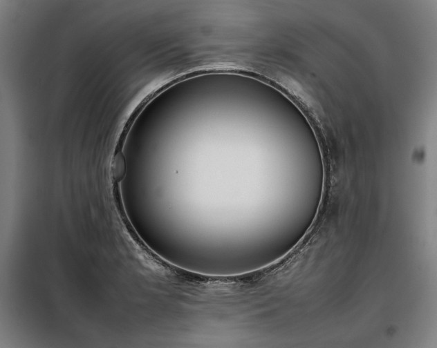 X0000098101181200804041237