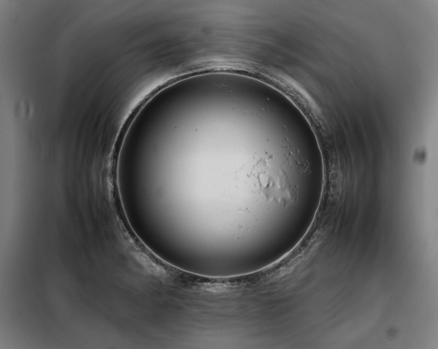 X0000098101182200804041237