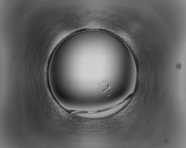 X0000098101183200804041237