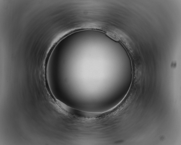 X0000098101184200804041237
