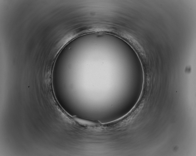 X0000098101185200804041237