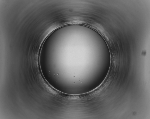 X0000098101186200804041237
