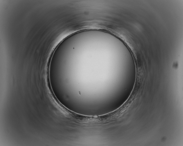 X0000098101187200804041237