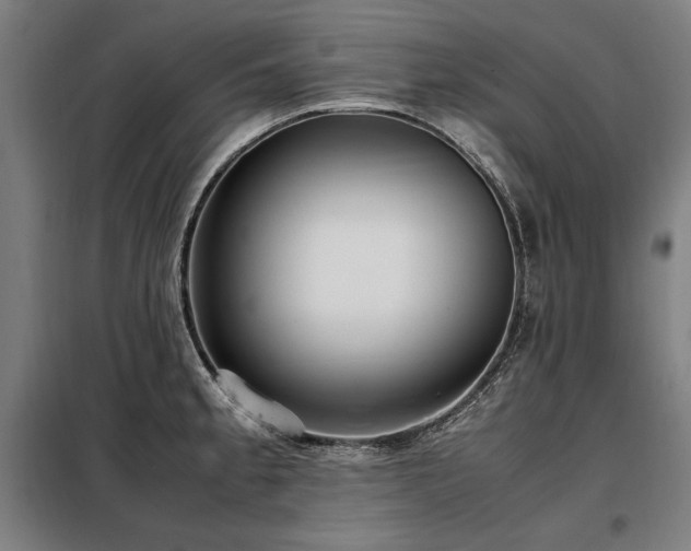 X0000098101189200804041237