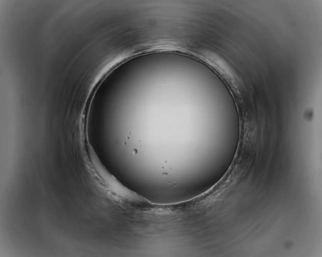 X0000098101190200804041237