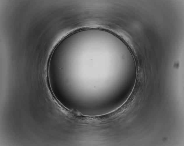 X0000098101191200804041237