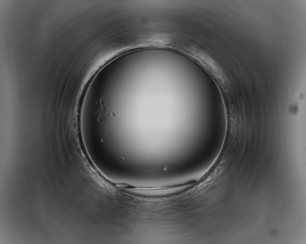 X0000098101192200804041237