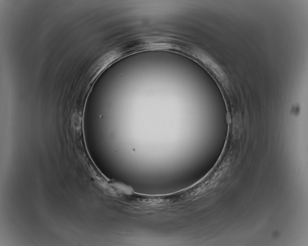 X0000098101193200804041237