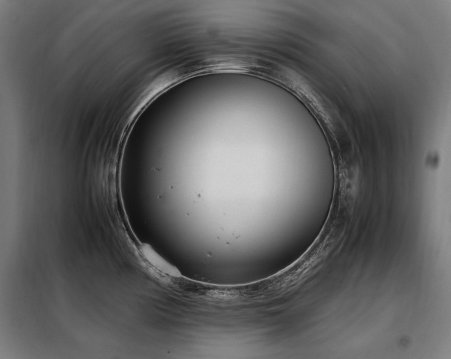 X0000098101194200804041237