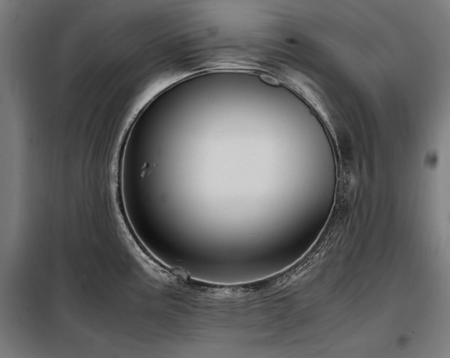 X0000098101195200804041237