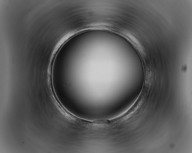 X0000098101196200804041237