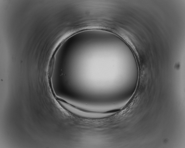 X0000098101197200804041237