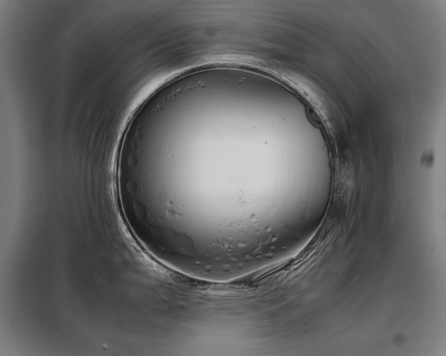 X0000098101199200804041237