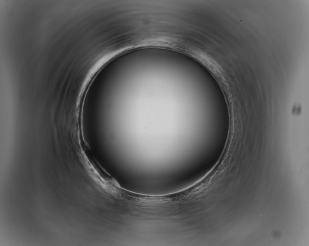 X0000098101200200804041237