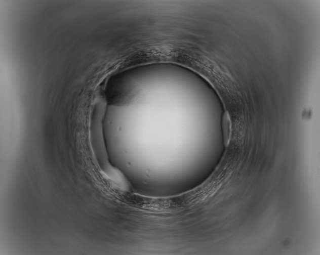 X0000098101201200804041236