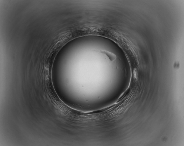 X0000098101203200804041236