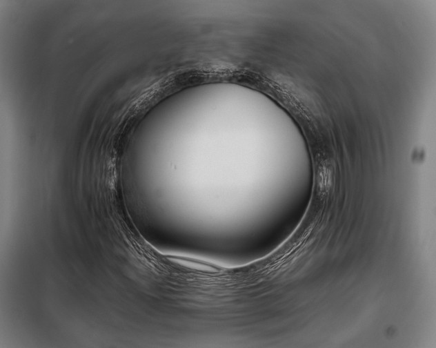 X0000098101204200804041236