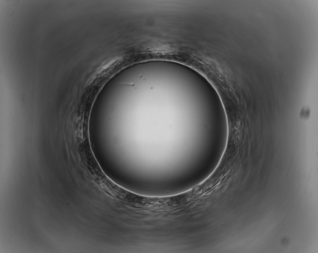 X0000098101205200804041236