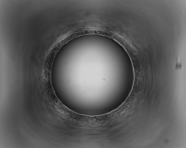 X0000098101207200804041236