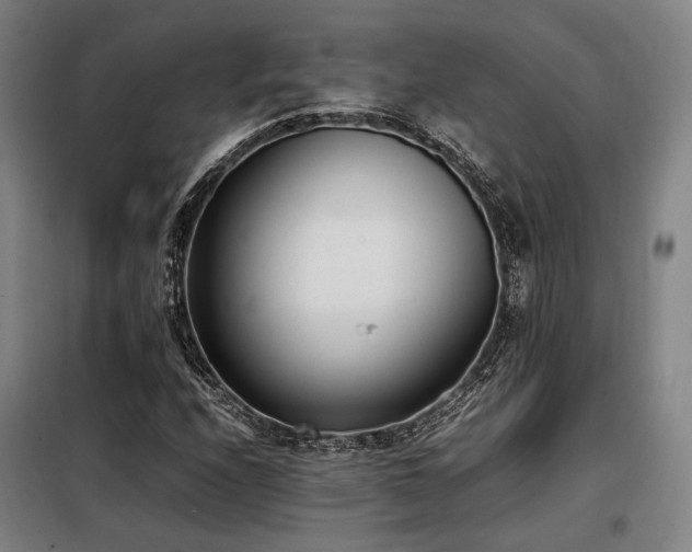 X0000098101208200804041236