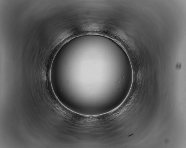 X0000098101209200804041236
