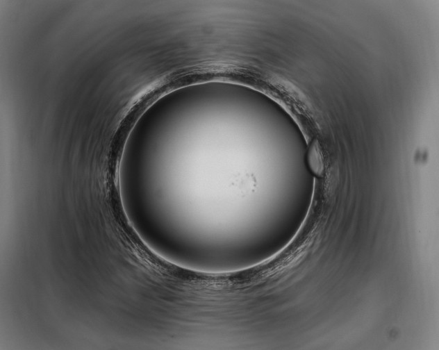 X0000098101210200804041236