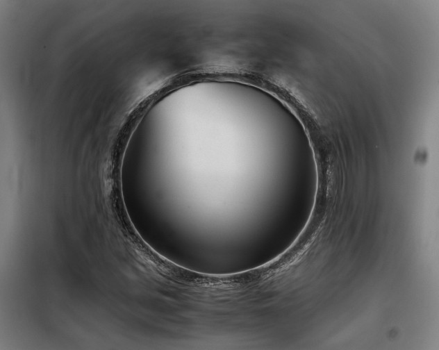 X0000098101213200804041236