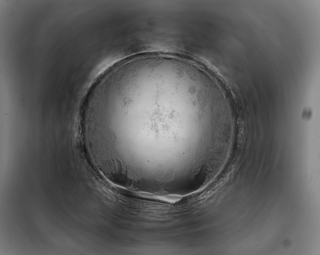 X0000098101215200804041236