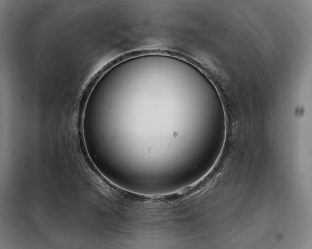 X0000098101216200804041236