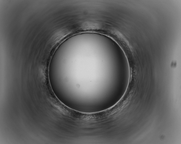 X0000098101217200804041236