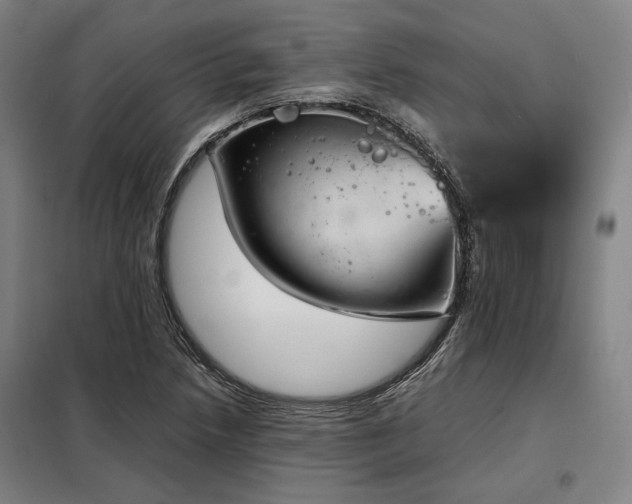 X0000098101218200804041236