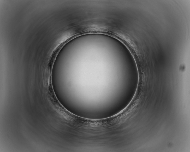 X0000098101219200804041236