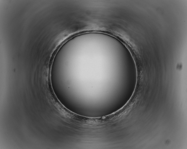 X0000098101220200804041236