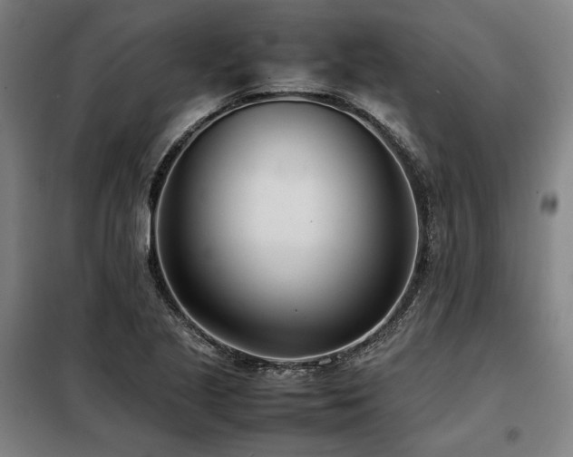 X0000098101221200804041236