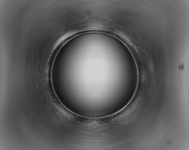 X0000098101222200804041236