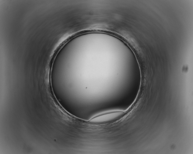 X0000098101224200804041236