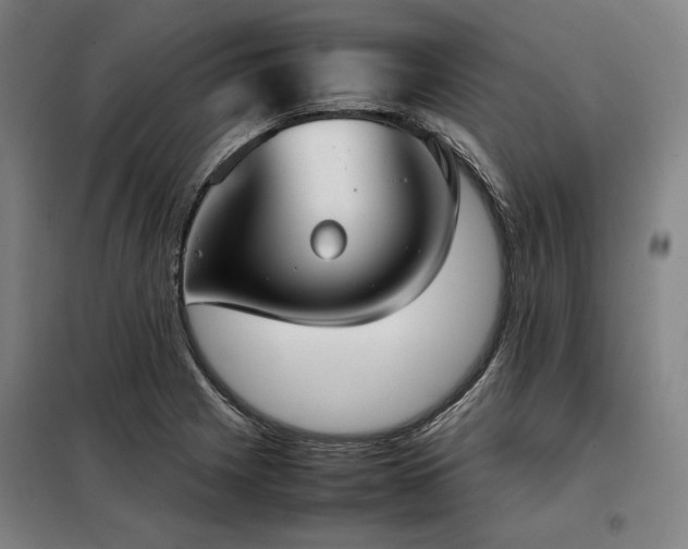 X0000098101225200804041236