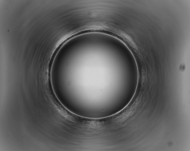 X0000098101226200804041236