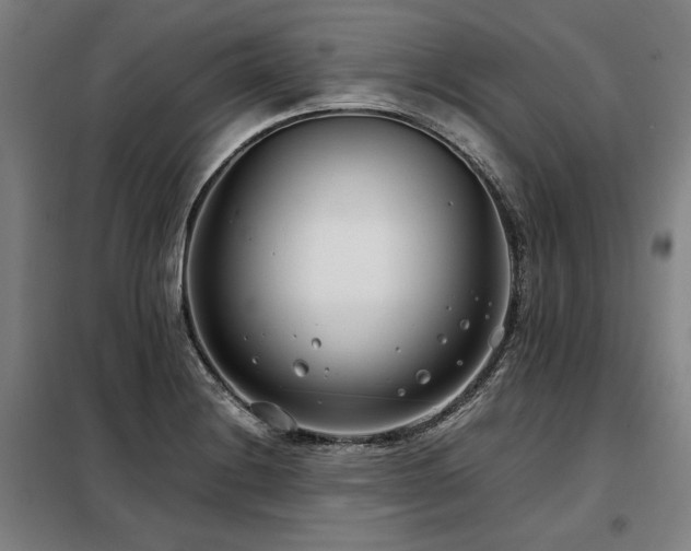 X0000098101228200804041236
