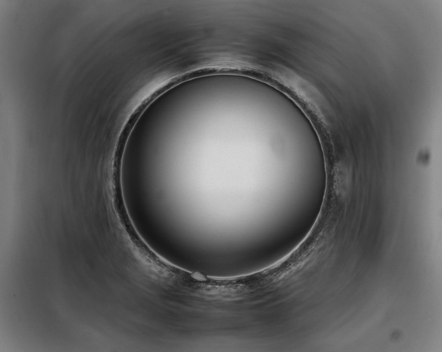 X0000098101229200804041236