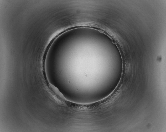X0000098101230200804041236