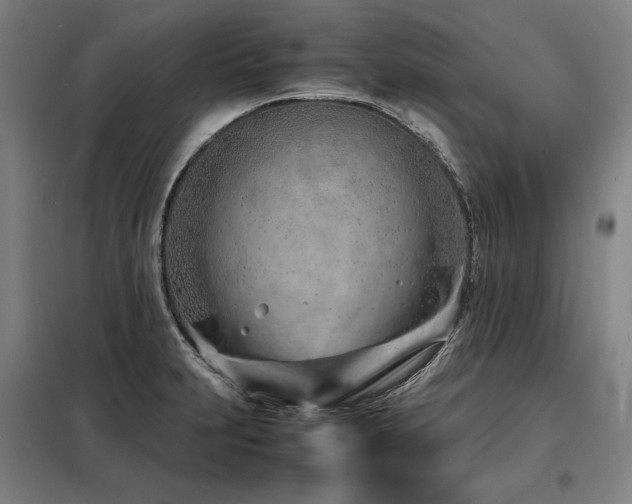 X0000098101231200804041236