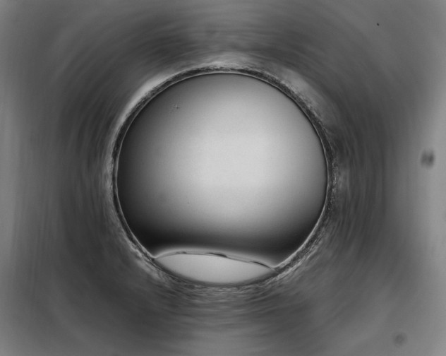 X0000098101232200804041236