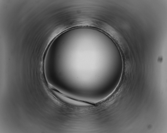 X0000098101234200804041236