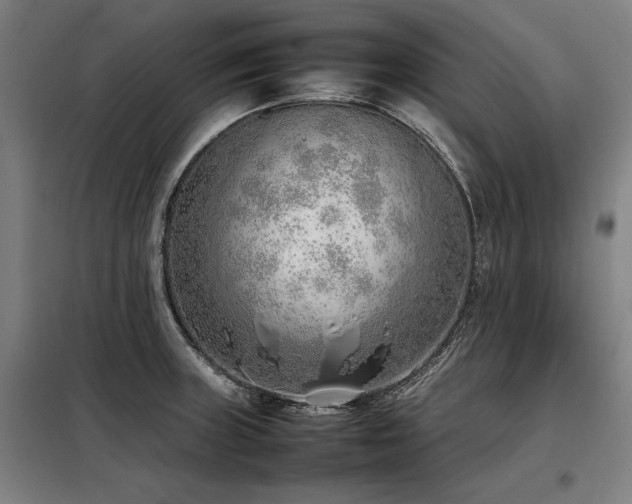 X0000098101235200804041236