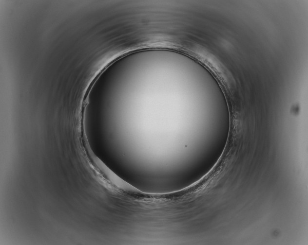 X0000098101236200804041236